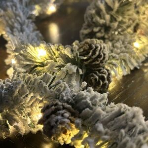 Wondershop LED Flocked Evergreen Dewdrop Lighted Garland - Set of 2